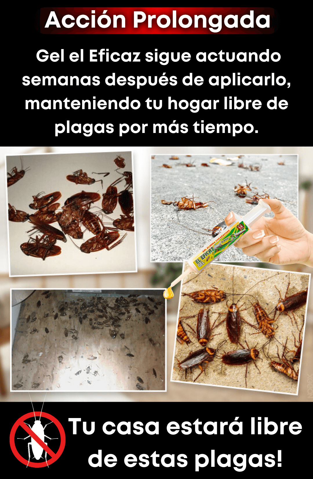 Jeringa Anti-plagas